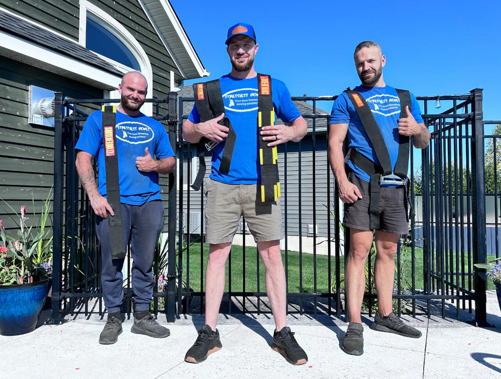 ArmDolly Moving Straps