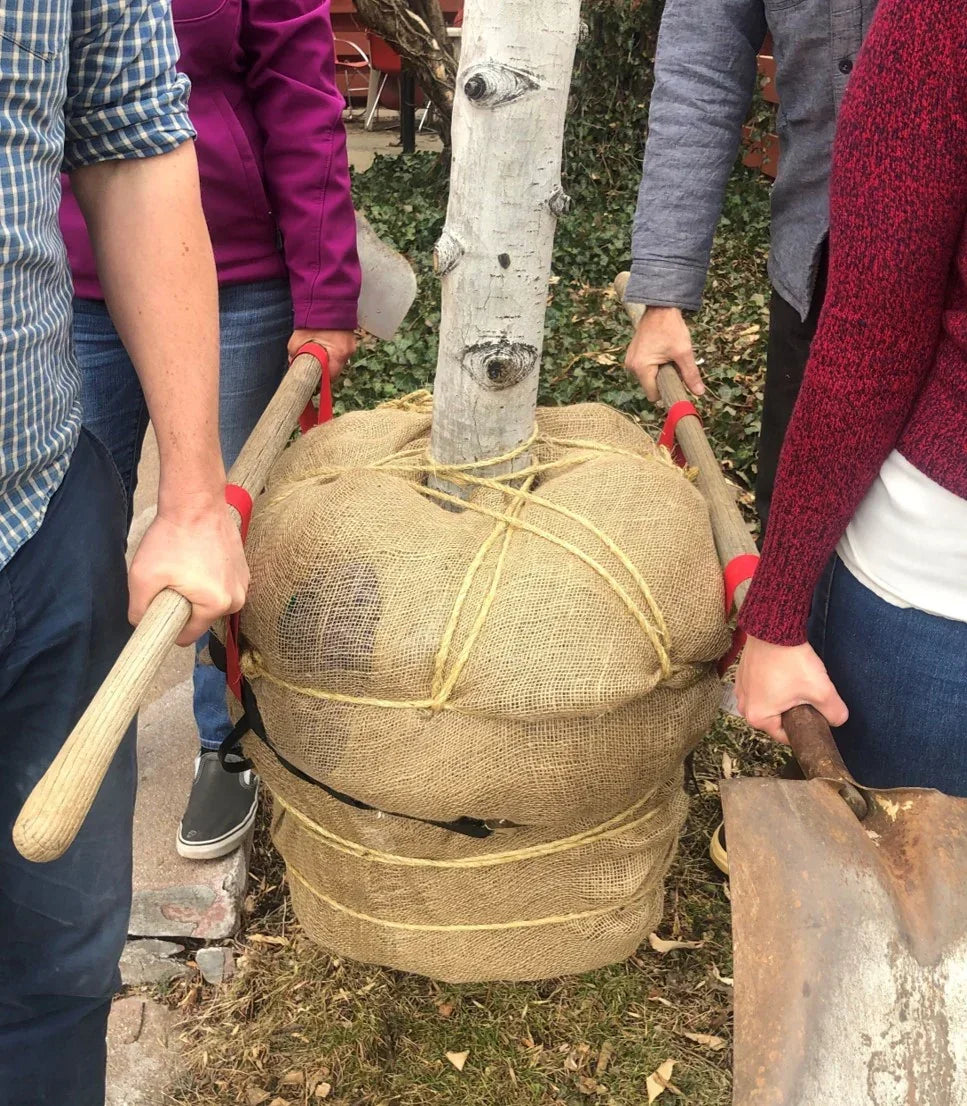 Tree Ball Handler ShoulderDolly® SteadyLifter™ - Wheelbarrow Assist Strap